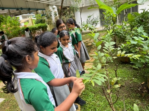Students exploring plants during an outdoor Tamil language learning activity.